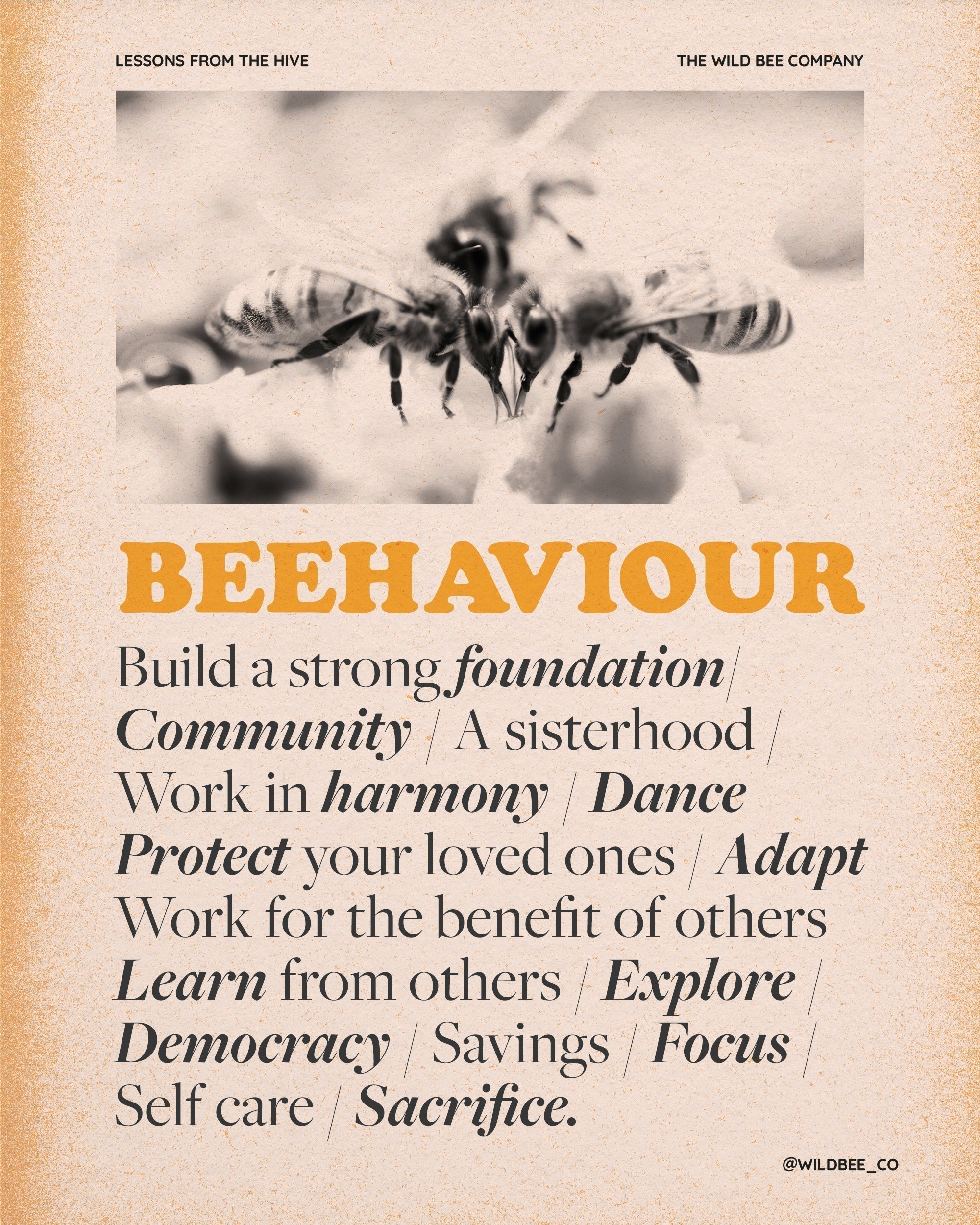 BEEHAVIOUR