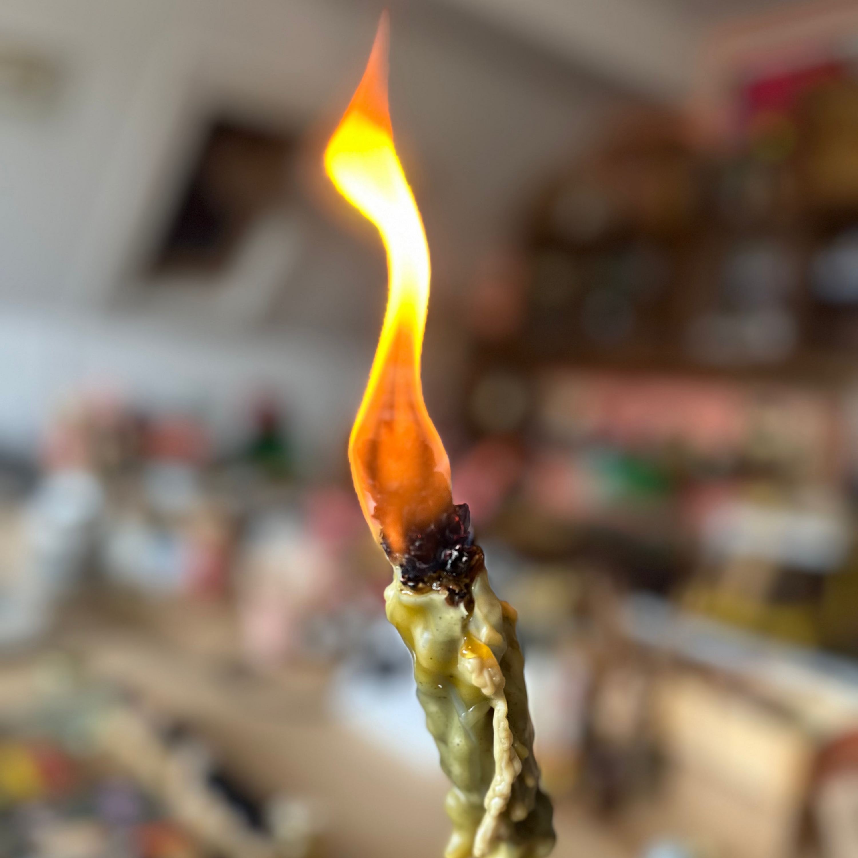 THE WITCH'S TORCH WORKSHOP | BEESWAX & MULLEIN