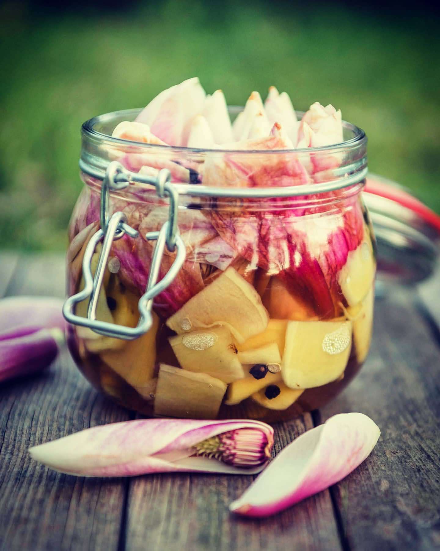 A jar with slices of ginger, peppercorns and foraged magnolia buds to make oxymel.