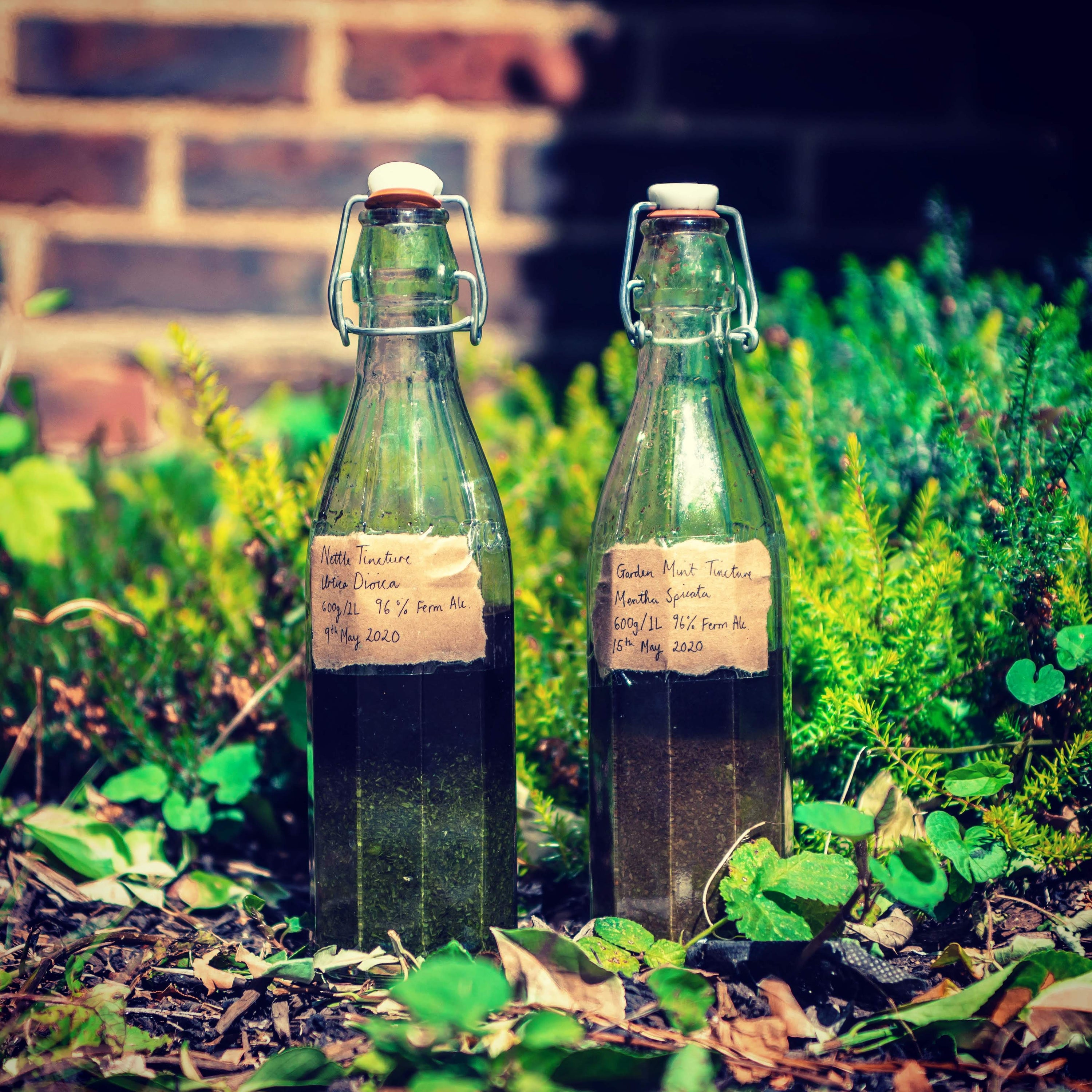 MAGIC OF BEES - Remedies Workshop