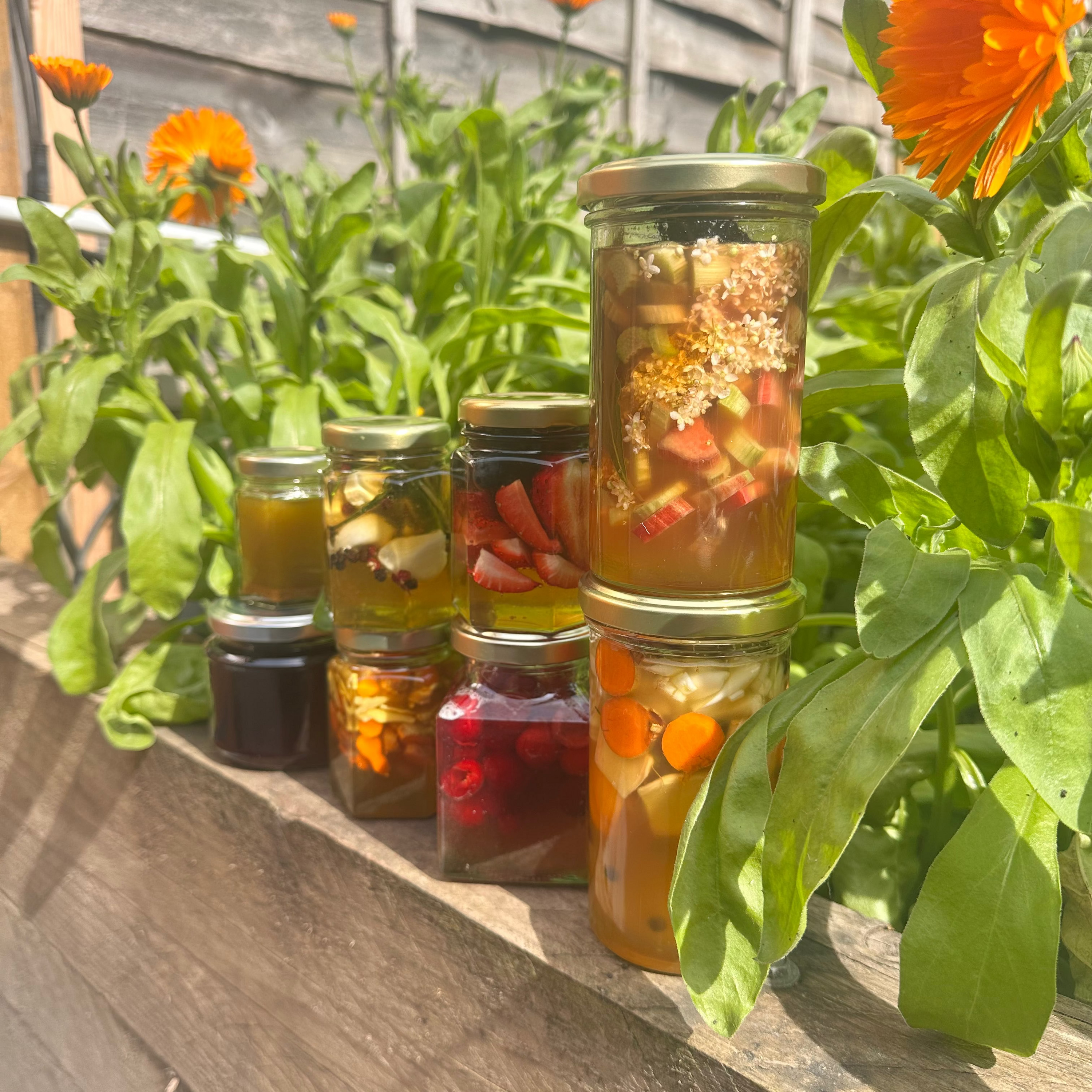 remedies including honey oxymel, ferments, propolis infusion, propolis tincture, propolis oil, honey fermented garlic, berry cheong and electuaries