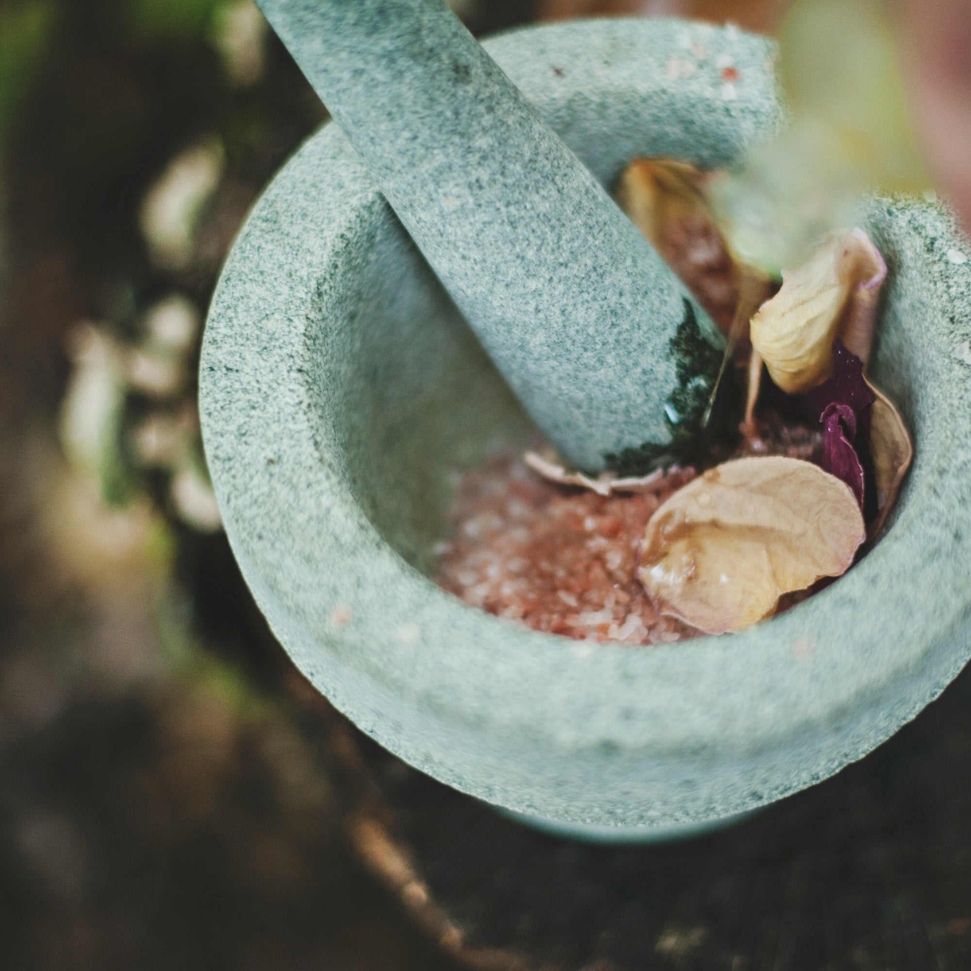 Mortar and pestle with herbs and spices on a natural background