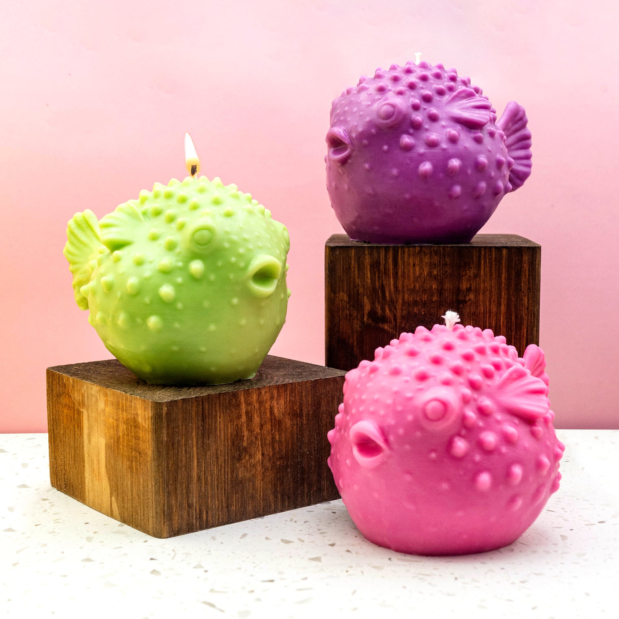 Beeswax Blowfish Candle