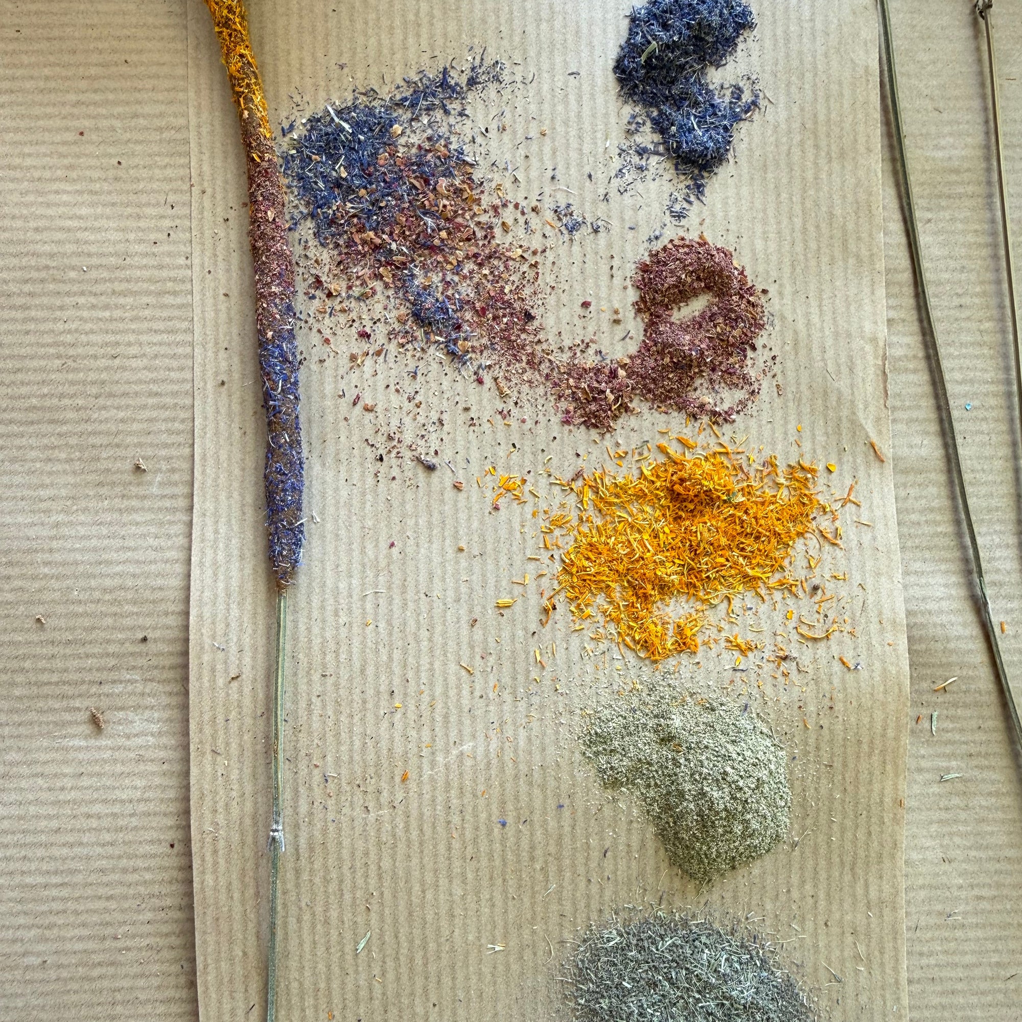 A vertical arrangement of dried botanical flowers, cornflowers, calendula, yarrow and rose. they have been powdered, laid on a brown paper, reading for incense making in london. 