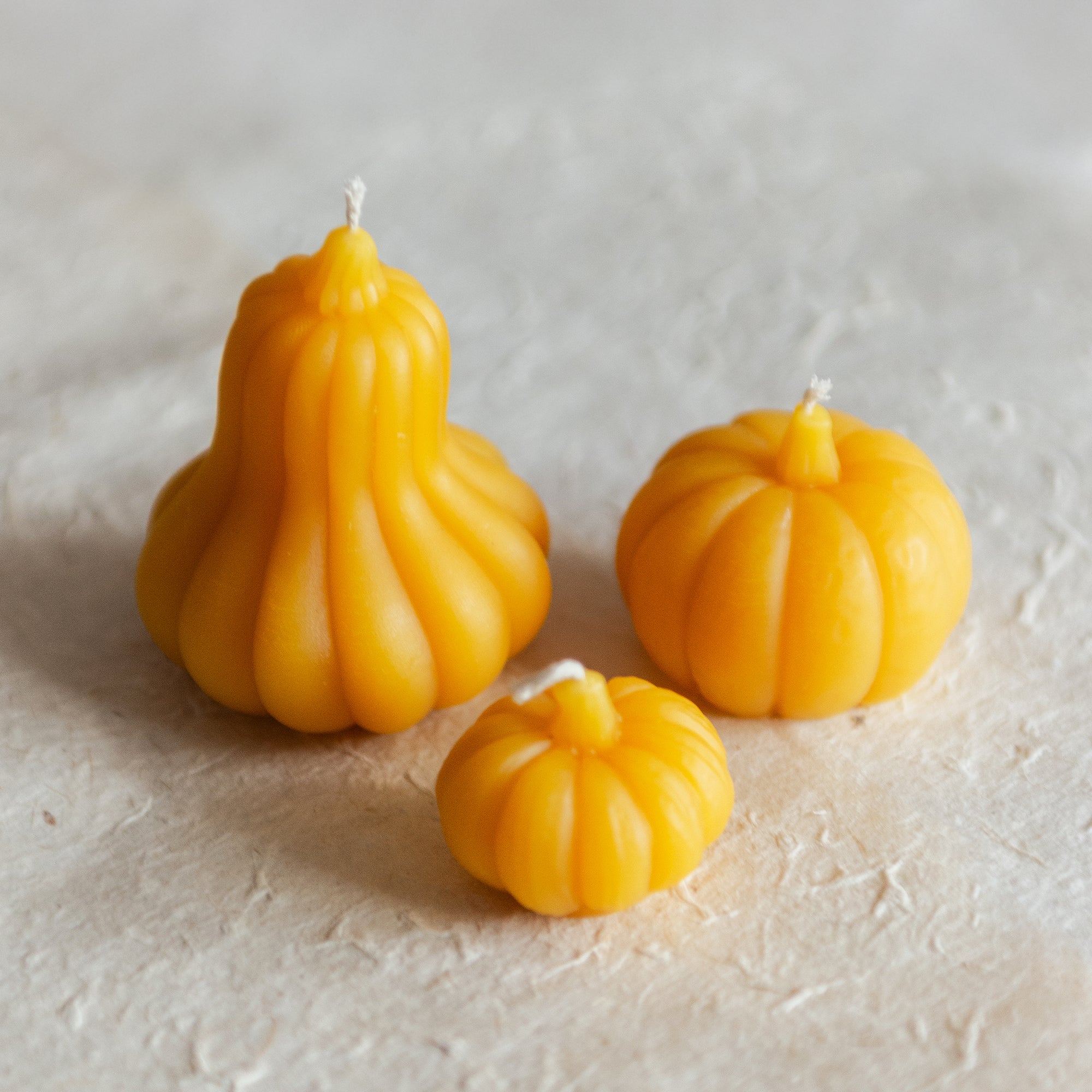 Beeswax Pumpkin Candles | Collection