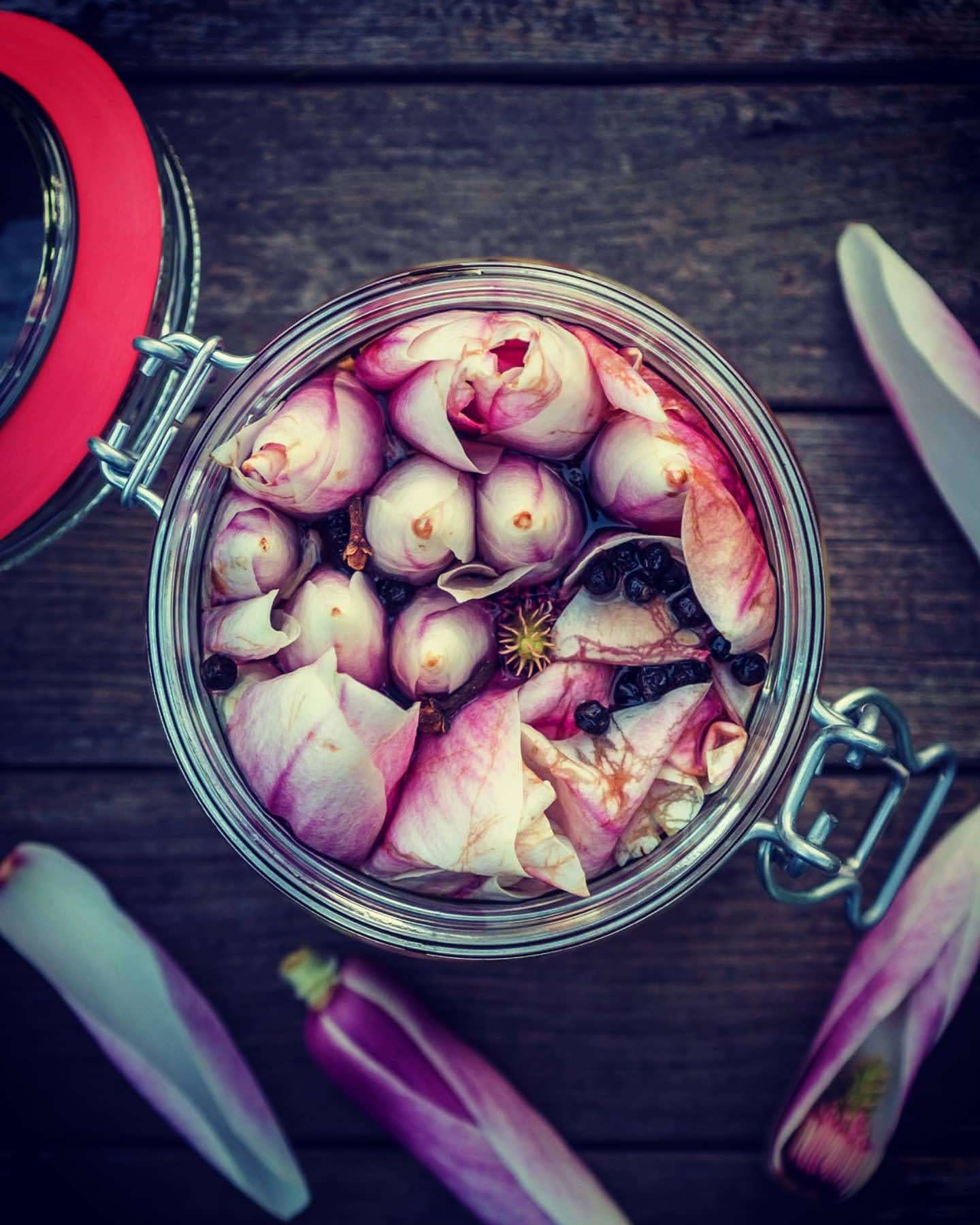 Jar of pickled magnolia flowers on a wooden surface, in jar with peppercorns