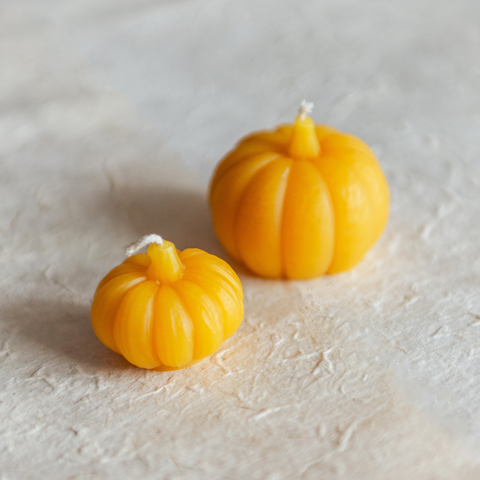 Beeswax Pumpkin Candles | Collection