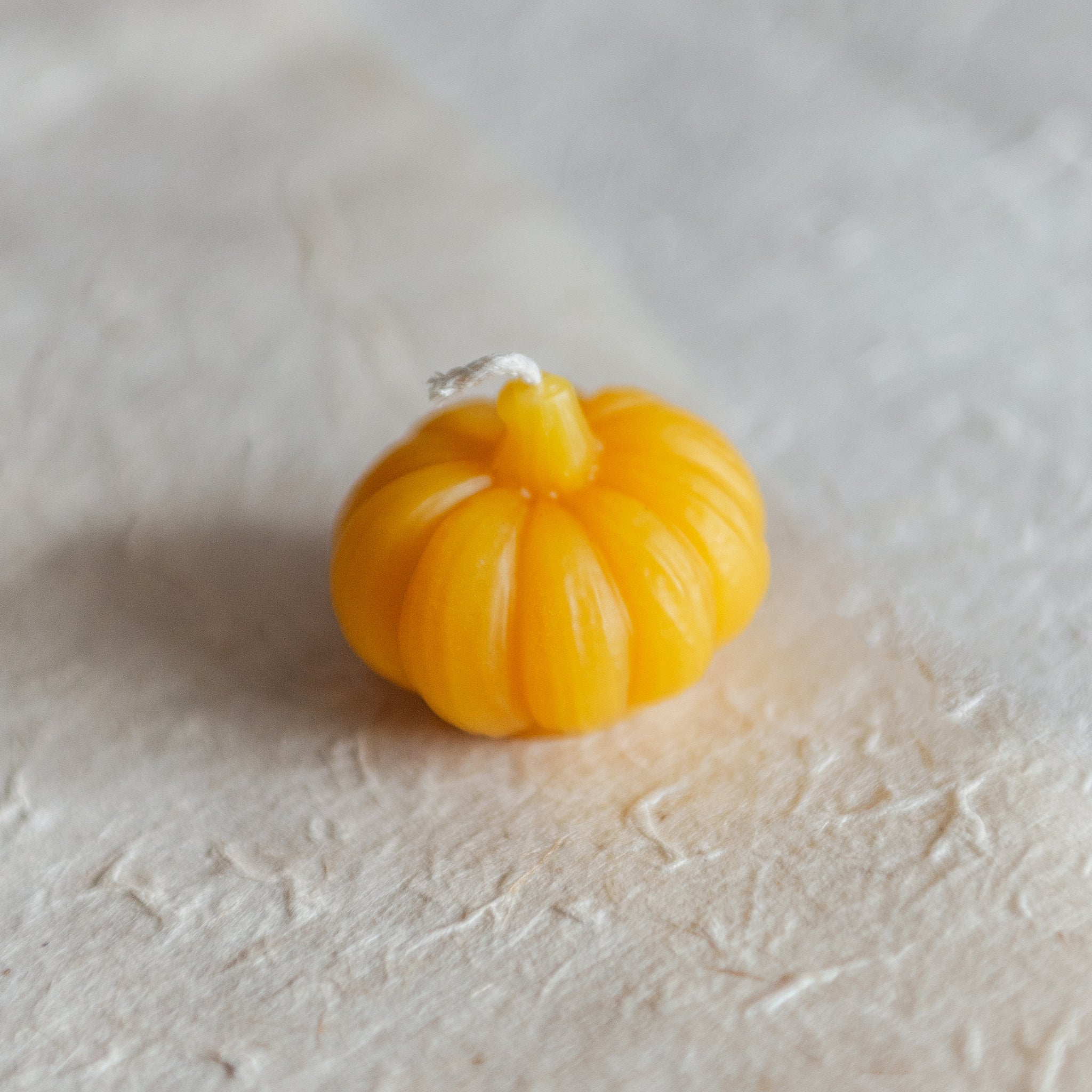Beeswax Pumpkin Candles | Collection