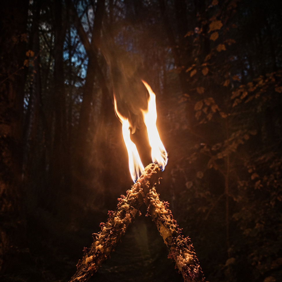 A person's hands hold two mullein beeswax candles with dried herbs crossed over each other, with bright orange and yellow flames burning at the tips, set against a dark, leafy forest background. This is to show what will be made in the beeswax and mullein workshop and how they can be used.