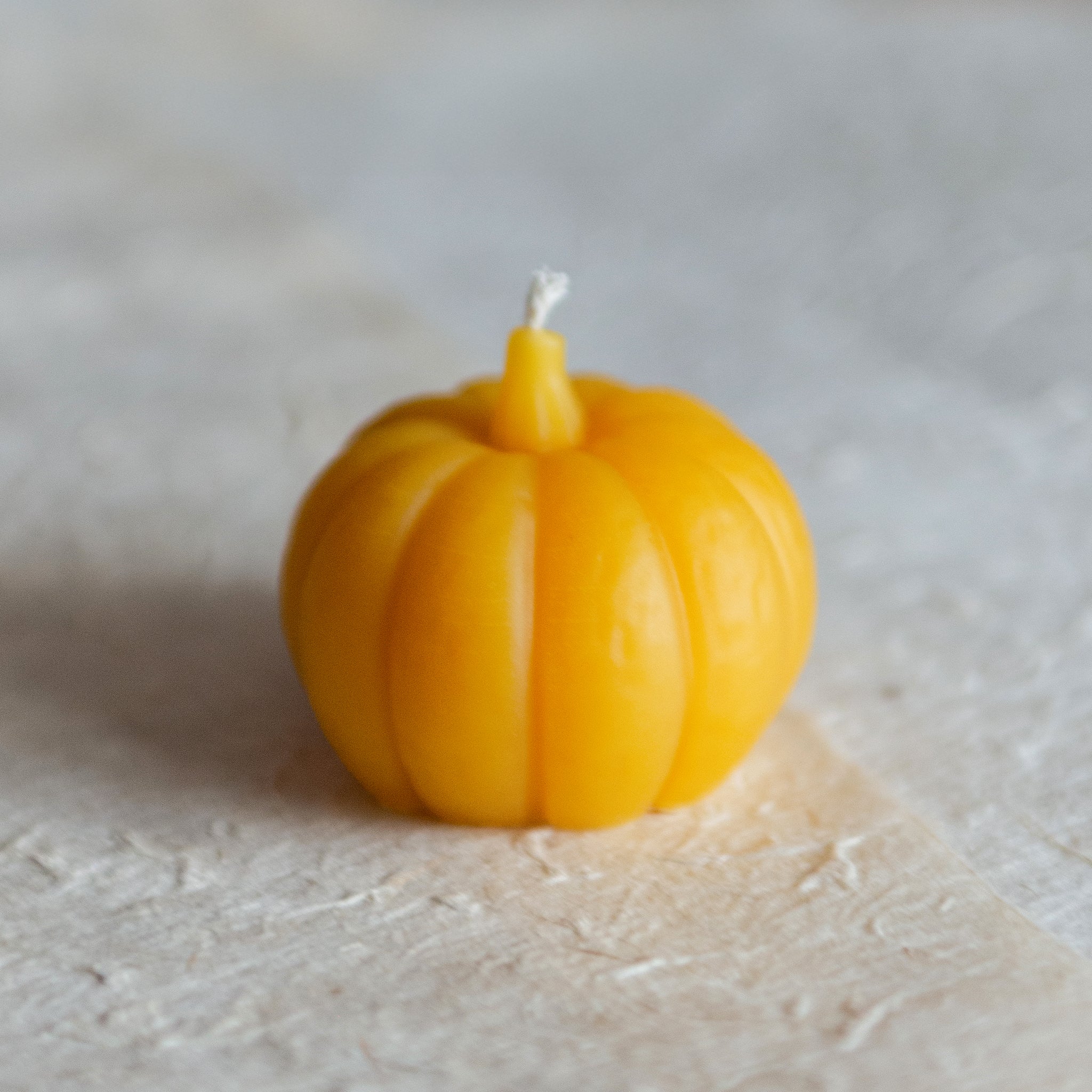 Beeswax Pumpkin Candles | Collection